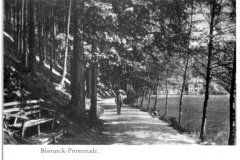histimg213
