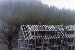 histimg031