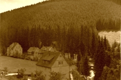 histimg049