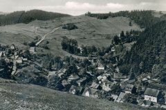 histimg054