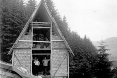 histimg063