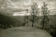 histimg065