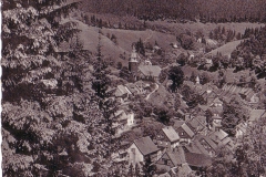 histimg067