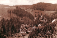histimg073
