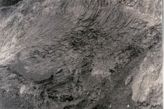 histimg010
