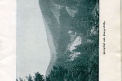 pwima-006