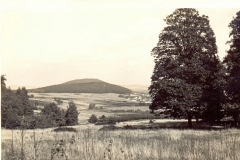Scannen0016