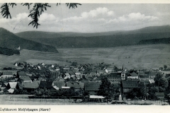 wolfshagen_017