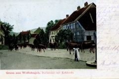 wolfshagen_022