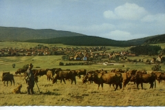 Wolfshagen_090