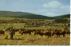 Wolfshagen_096
