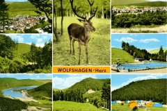 Wolfshagen_165