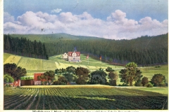 Wolfshagen_172