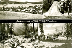 Wolfshagen_196