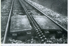 histimg028