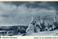histimg016