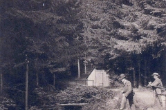 histimg027