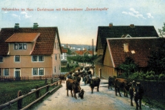 histimg008