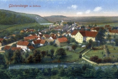 histimg016