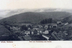 histimg051
