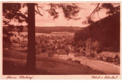 histimg054