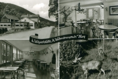 histimg067