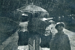 histimg071