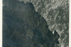 histimg079