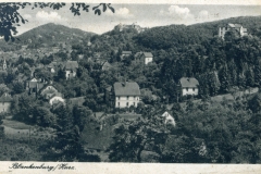 histimg080