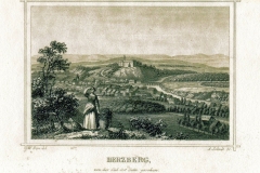 histimg090