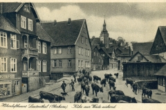 histimg012