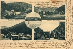 histimg010
