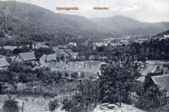 histimg015