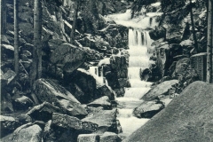 histimg029