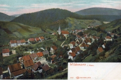 histimg004