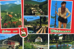 histimg013
