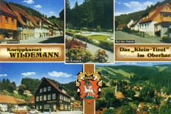 histimg016