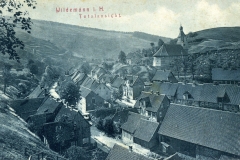histimg022
