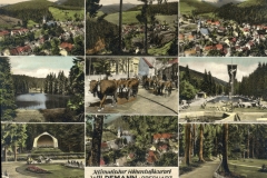 histimg038
