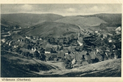 histimg041