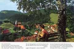 histimg052