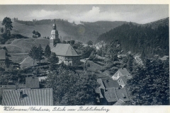histimg054