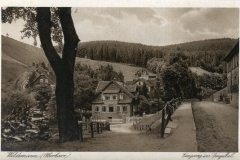 histimg060