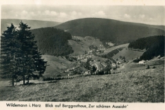 histimg061