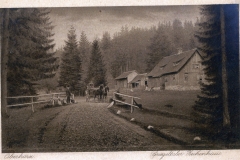histimg066