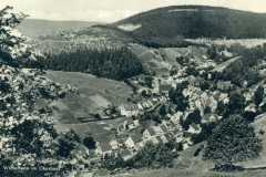 histimg070