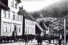 histimg076