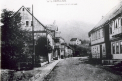 histimg081