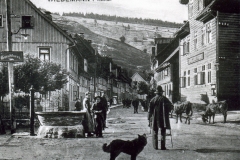 histimg086