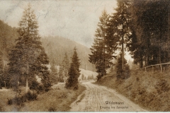 histimg091